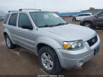  Salvage Ford Escape