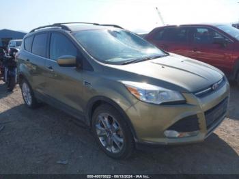  Salvage Ford Escape