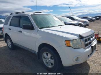  Salvage Ford Escape