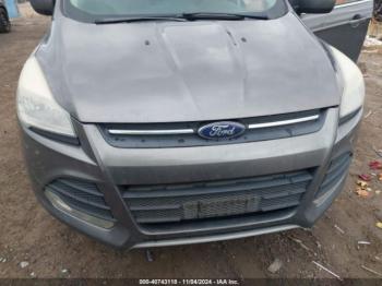  Salvage Ford Escape