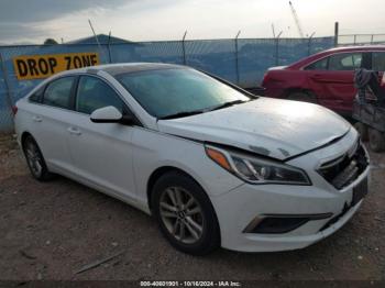  Salvage Hyundai SONATA