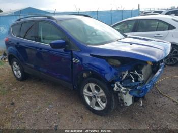  Salvage Ford Escape