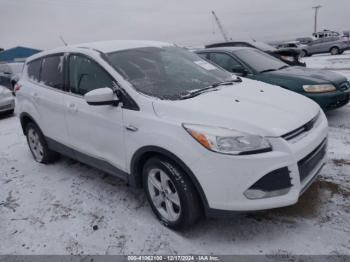  Salvage Ford Escape