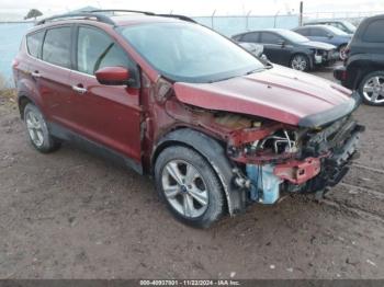  Salvage Ford Escape