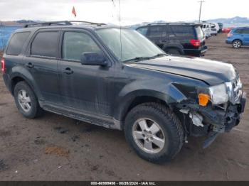  Salvage Ford Escape