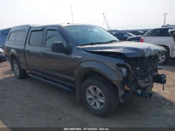  Salvage Ford F-150