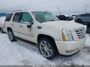  Salvage Cadillac Escalade