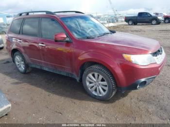  Salvage Subaru Forester