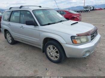  Salvage Subaru Forester