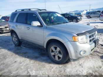  Salvage Ford Escape
