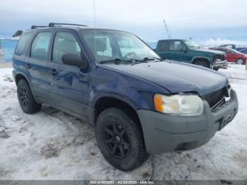 Salvage Ford Escape