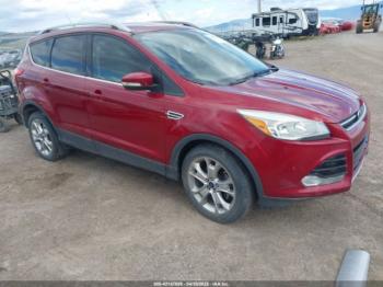  Salvage Ford Escape