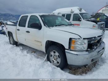  Salvage Chevrolet Silverado 1500