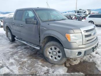 Salvage Ford F-150
