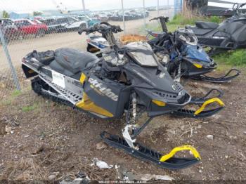  Salvage Ski-doo Other
