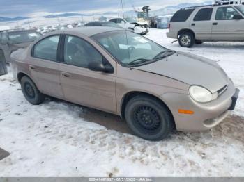  Salvage Dodge Neon