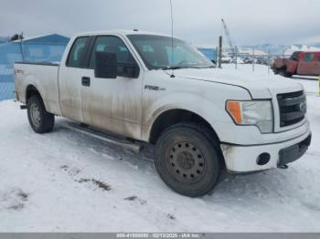  Salvage Ford F-150