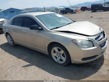  Salvage Chevrolet Malibu
