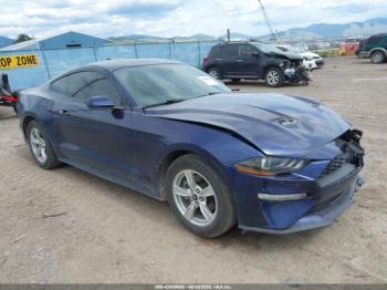  Salvage Ford Mustang