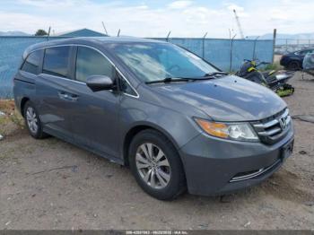  Salvage Honda Odyssey