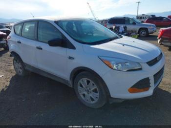  Salvage Ford Escape