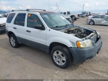  Salvage Ford Escape