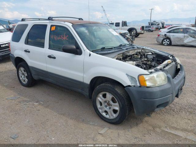  Salvage Ford Escape