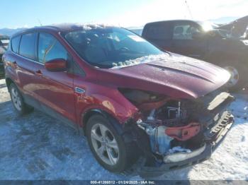  Salvage Ford Escape