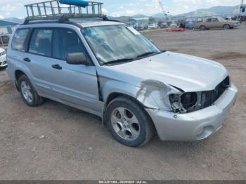  Salvage Subaru Forester
