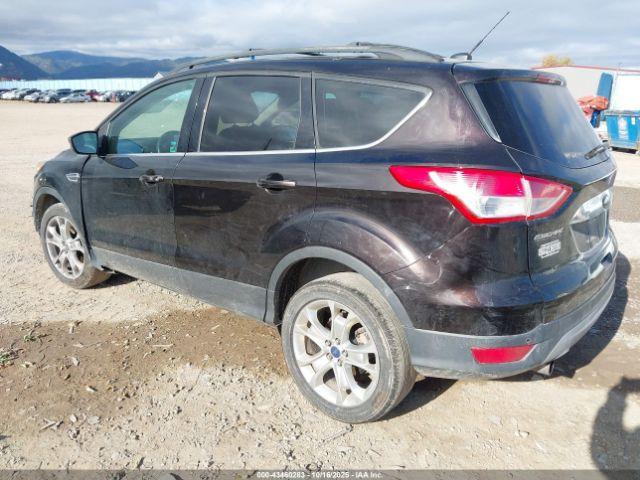 Ford Escape Sel Image 7