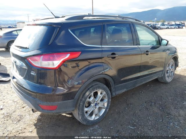 Ford Escape Sel Image 10