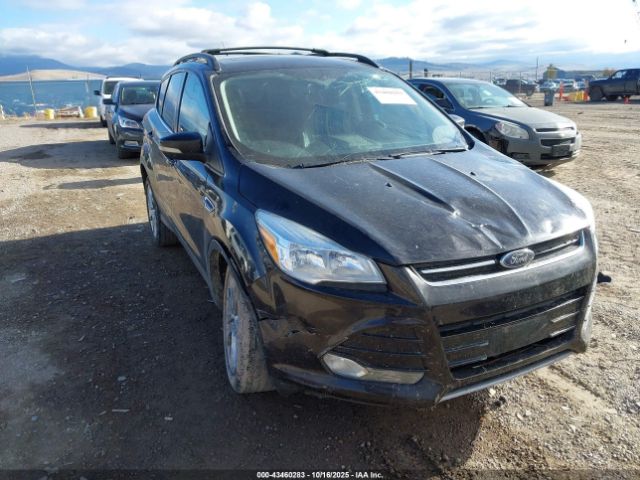 Ford Escape Sel Image 6