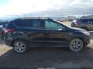 Ford Escape Sel Image 13