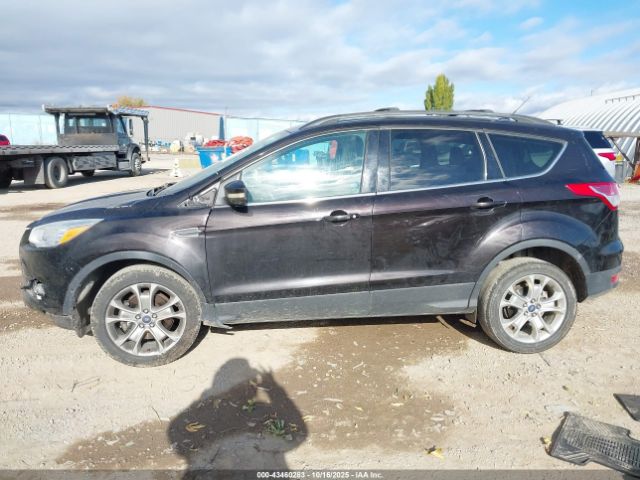Ford Escape Sel Image 15
