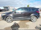 Ford Escape Sel Image 15