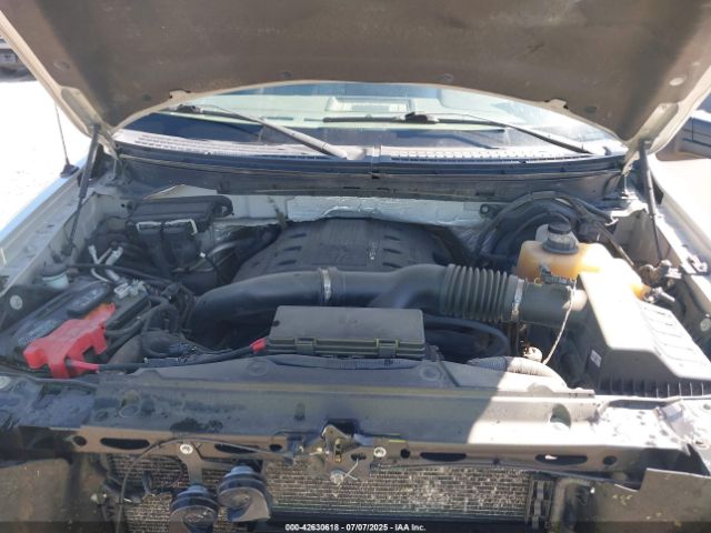 Ford F-150 Platinum Image 15