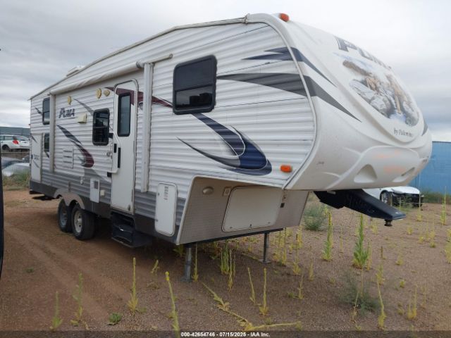 Palomino Puma Image 1