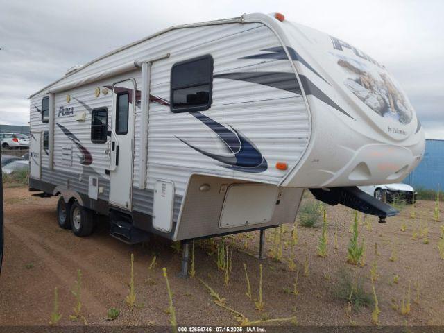  Salvage Palomino Puma