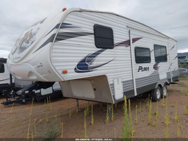 Palomino Puma Image 8