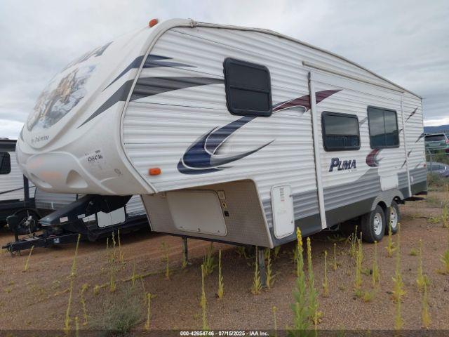 Palomino Puma Image 8