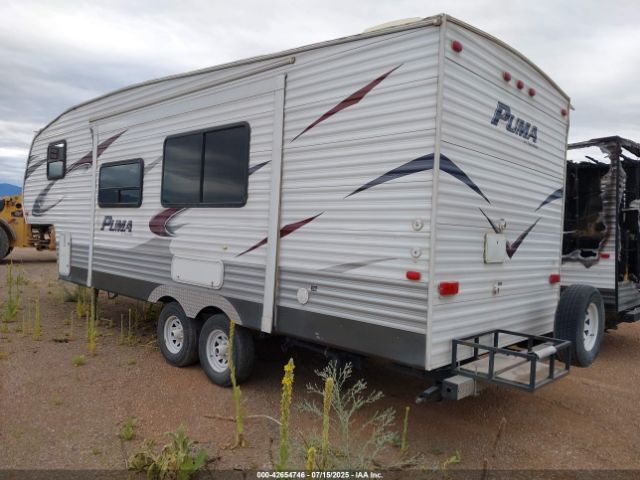 Palomino Puma Image 12