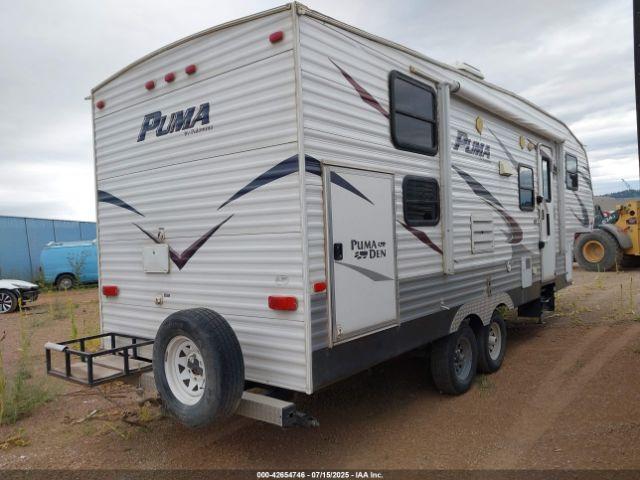 Palomino Puma Image 4