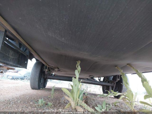 Palomino Puma Image 7