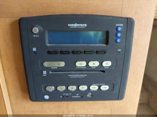 Palomino Puma Image 6