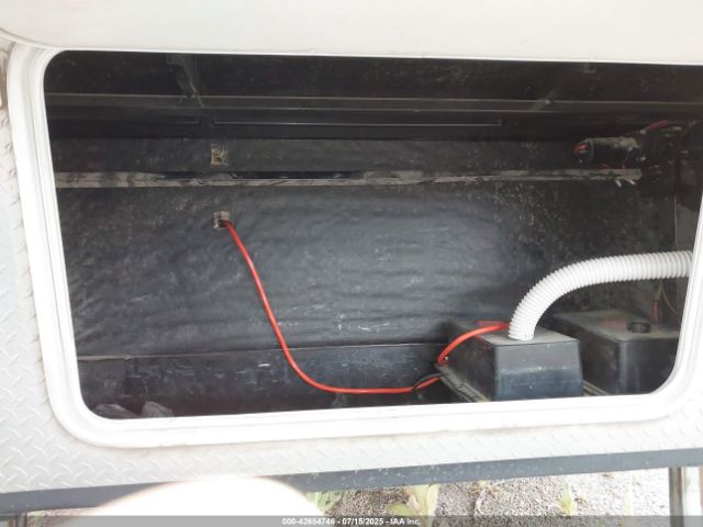 Palomino Puma Image 2