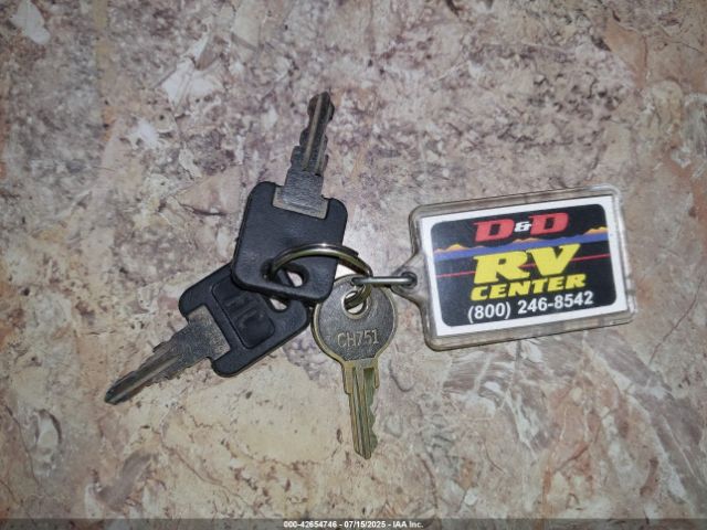 Palomino Puma Image 14