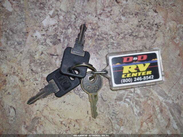 Palomino Puma Image 14