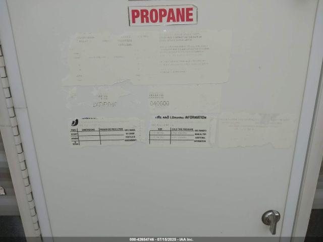 Palomino Puma Image 19