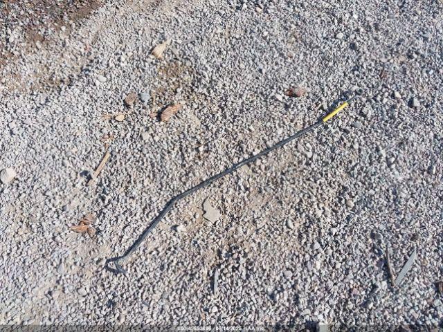 Ford Focus Se Image 12