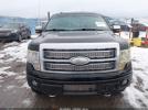 Ford F-150 Image 2